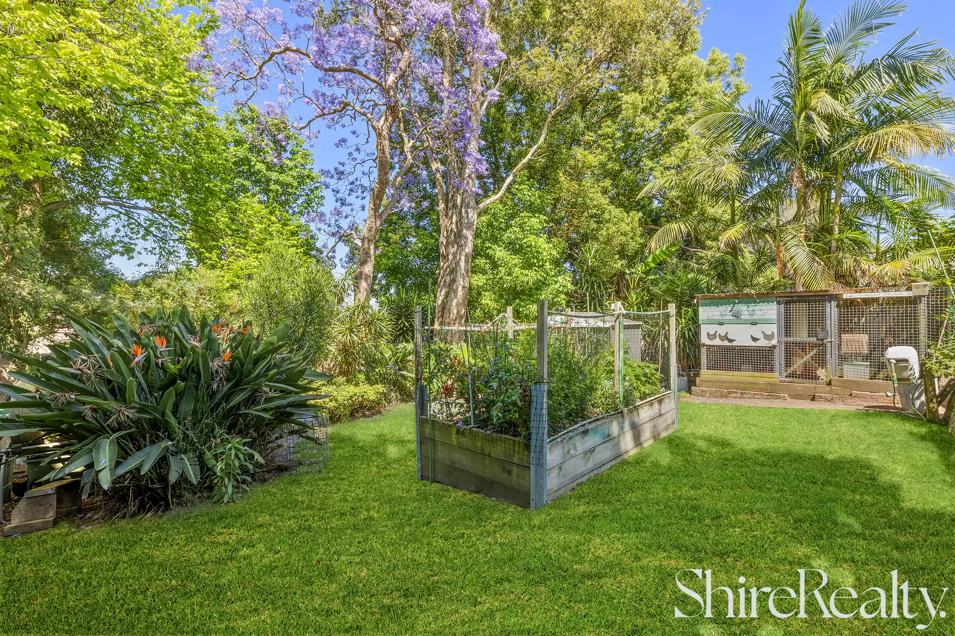 42 Sherwin Avenue, Castle Hill For Sale by Shire Realty - image 14