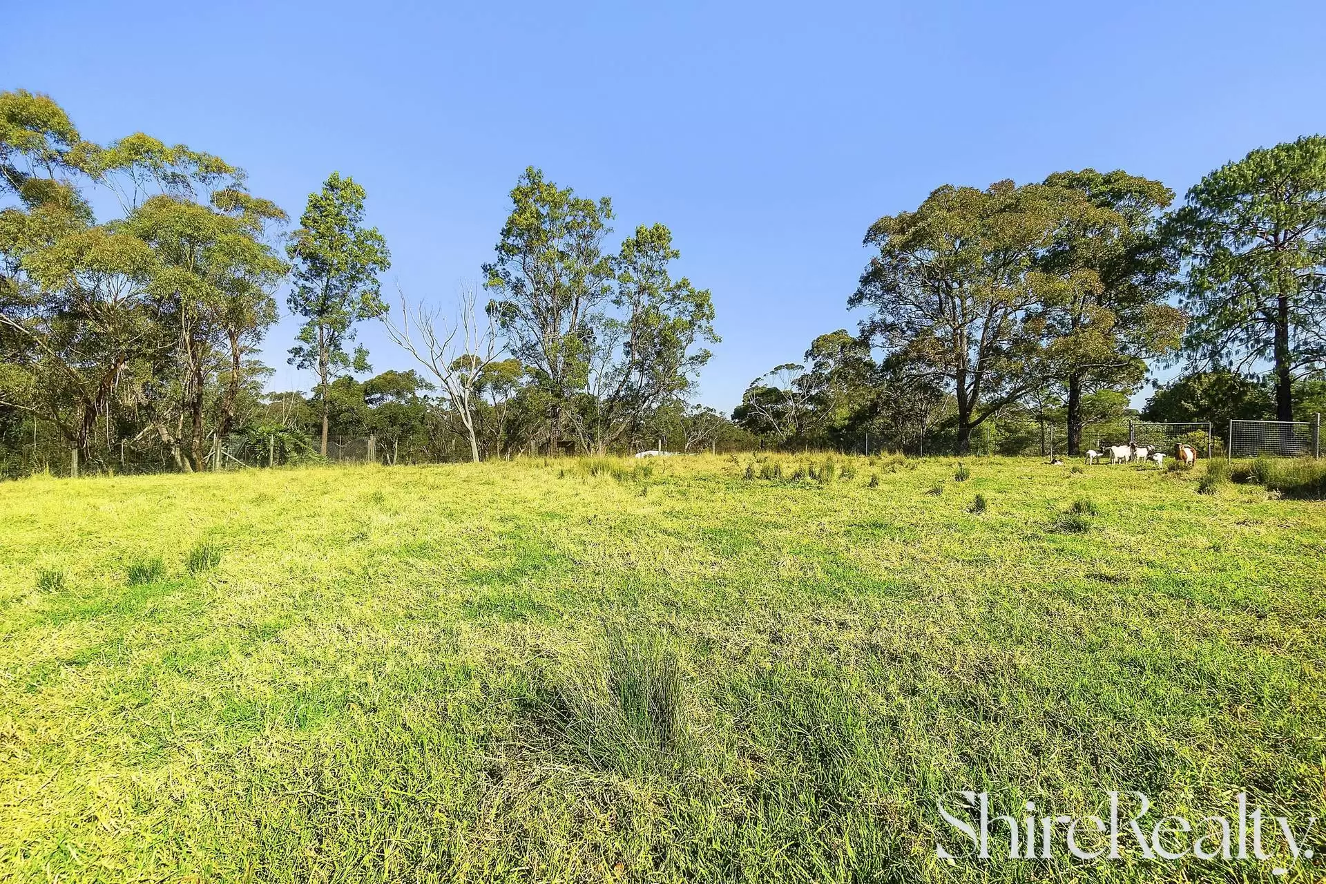 194a Annangrove Road, Annangrove Sold by Shire Realty - image 5