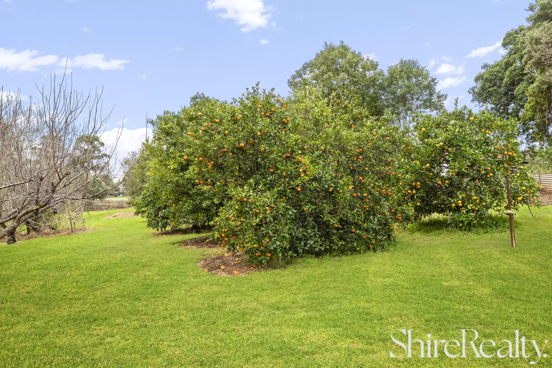 7 Pitt Town Road, Kenthurst Sold by Shire Realty - image 14